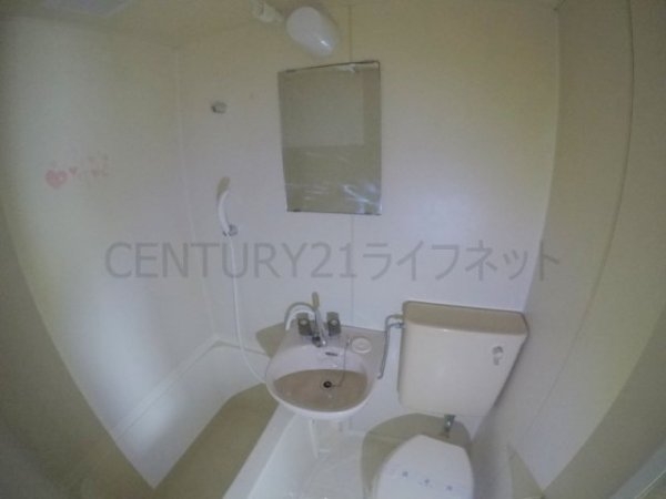シェイーネ新高
