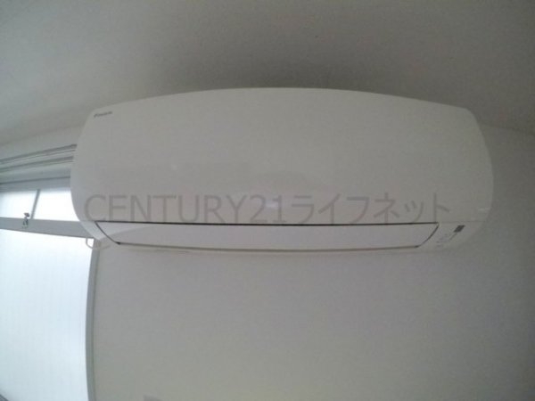 シェイーネ新高