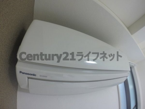 アルビオン