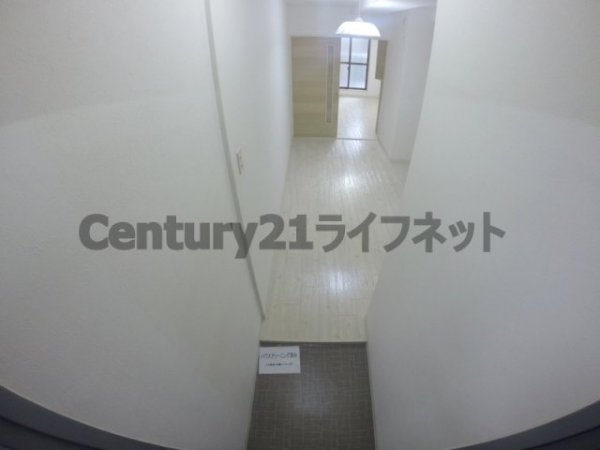 アルビオン