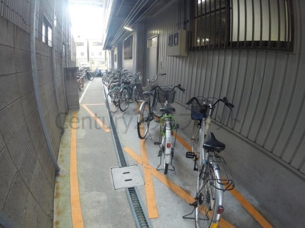 アルビオン