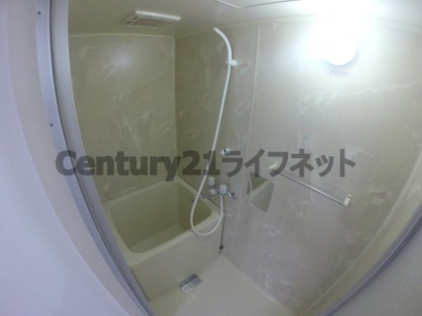 アルビオン