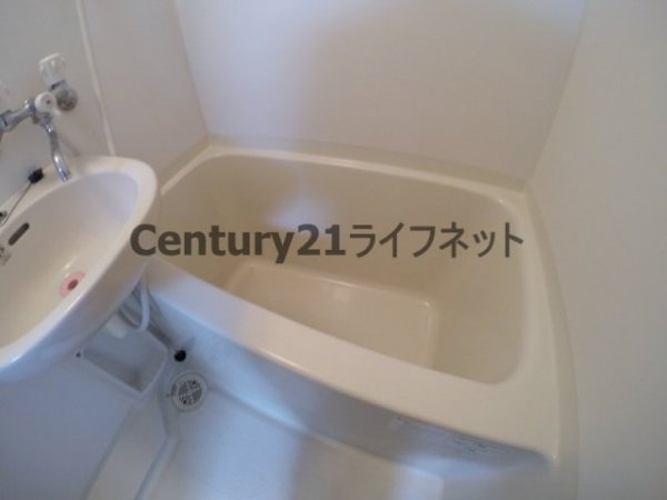 パレス