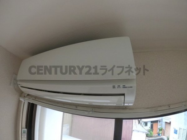 アルバトロス