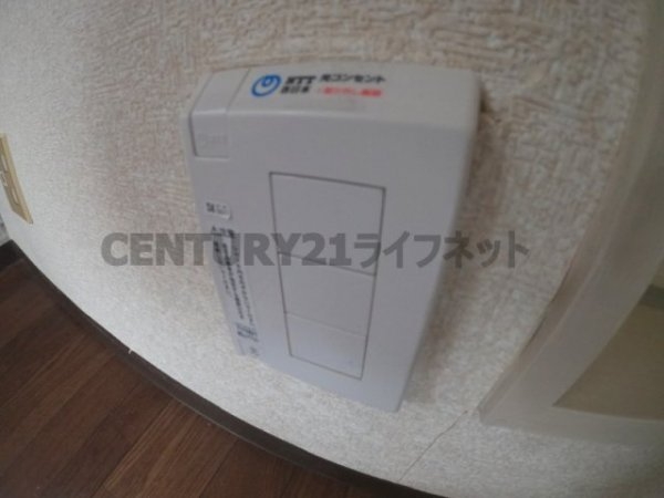 アルバトロス