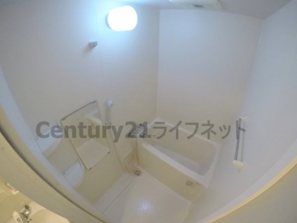 アミスタ菅原