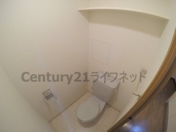 アミスタ菅原