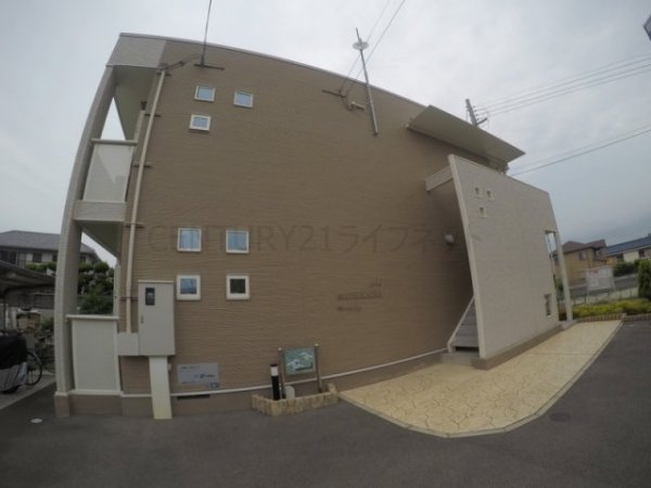 マツカゼ1