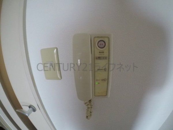 サウスフラット