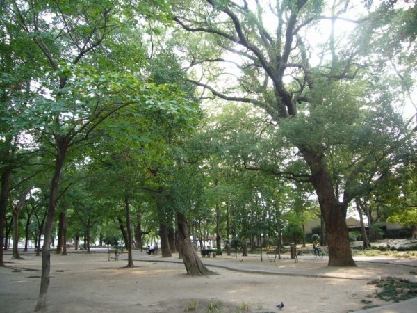 大阪市淀川区新北野2丁目のマンション(十三公園)