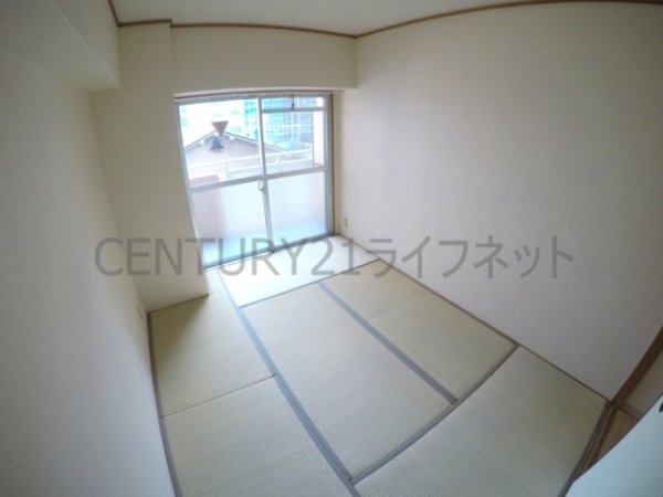 ホワイトハイツカドタ