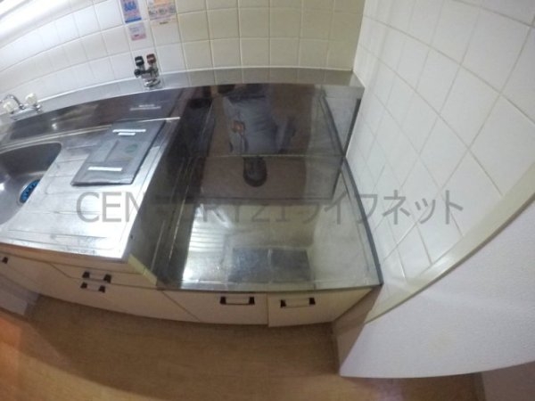 ホワイトハイツカドタ