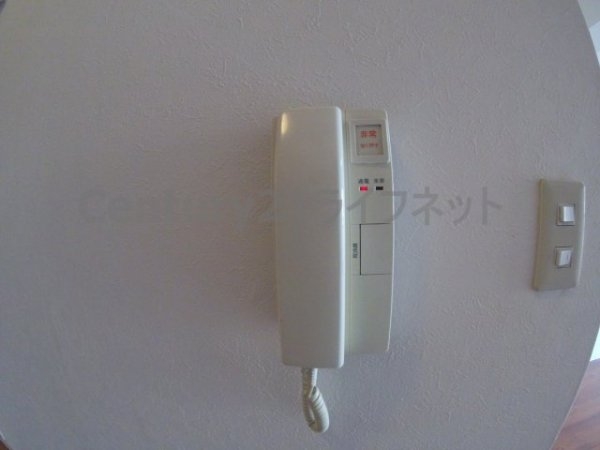 ボヌールリーブＴ