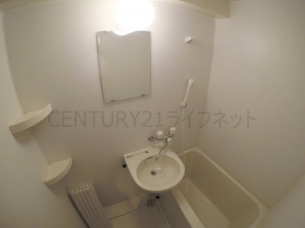 グランドーム国際