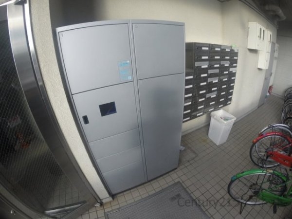 グランドーム国際