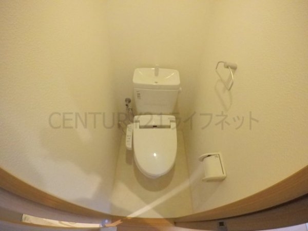 グランドーム国際