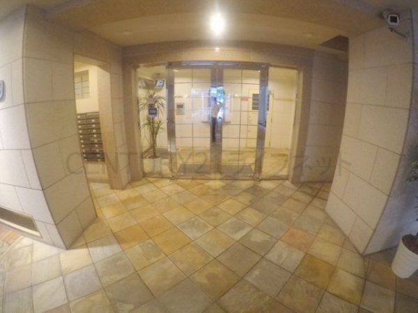 ハイムタケダT-9