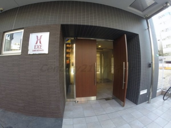 EXE新北野