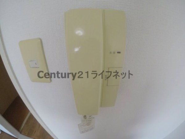シンセリティ野中