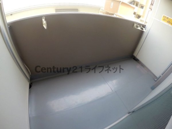 シンセリティ野中