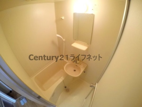 シンセリティ野中