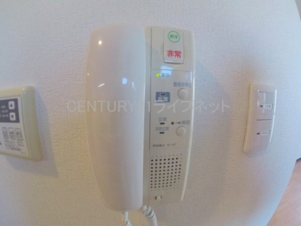 エクセレント上新17