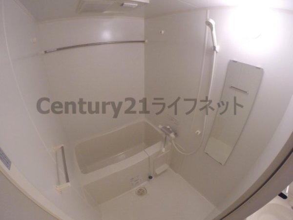 アリーヴィオ