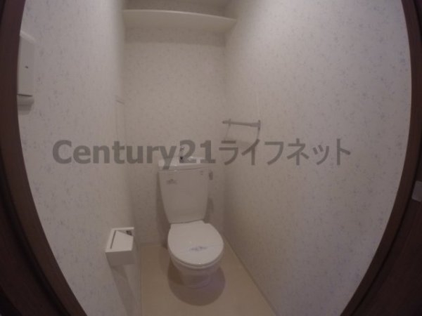 アリーヴィオ