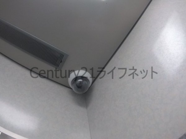 フォンセブラン