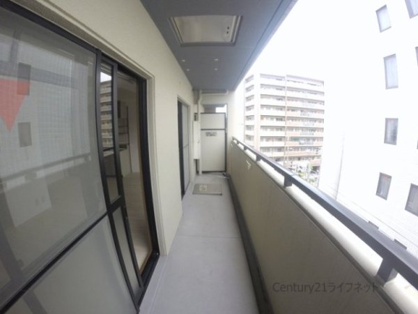 シャトレ谷山