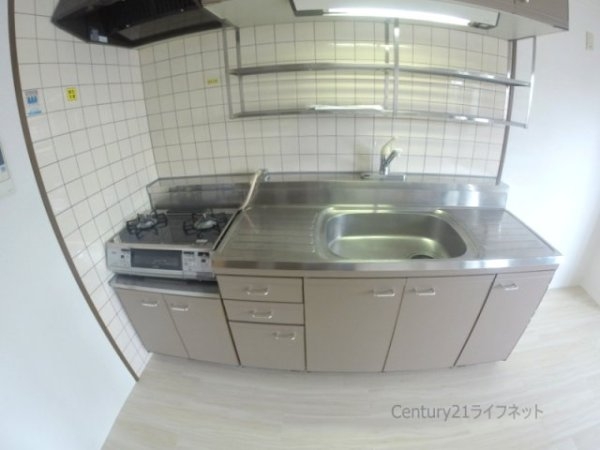 シャトレ谷山