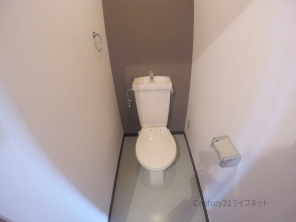 シャトレ谷山