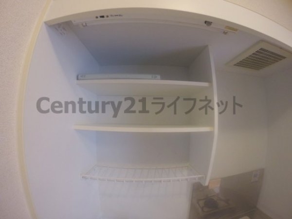 フェアリーコート