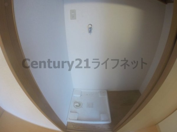 フェアリーコート