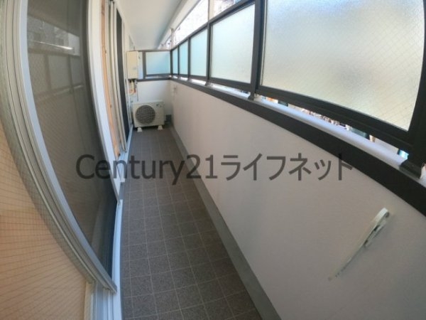 グレイスクラール