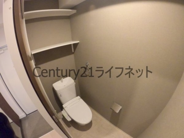 グレイスクラール