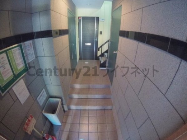 プレミアム十三