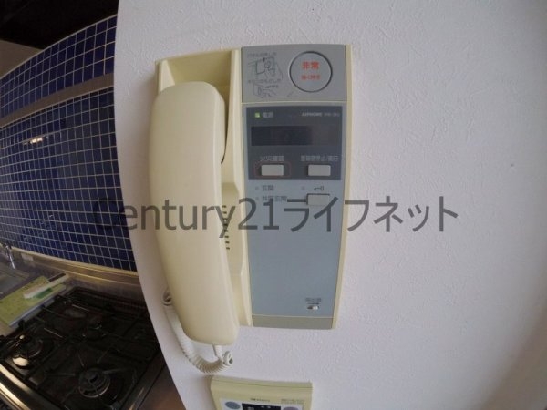 ケークラフトウメダ161