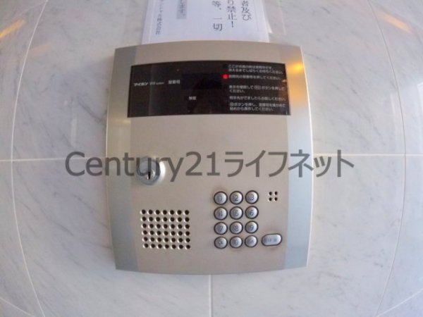 ケークラフトウメダ161
