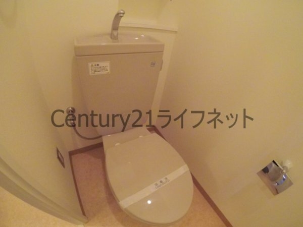 ケークラフトウメダ161