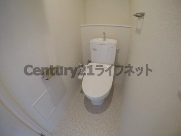 ヴィヴィフルヤ豊崎