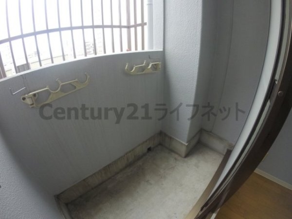 トレンディ岡野