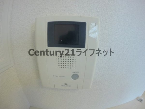 ルーセント菅原