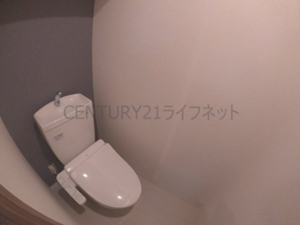 MJC大阪リベルテ