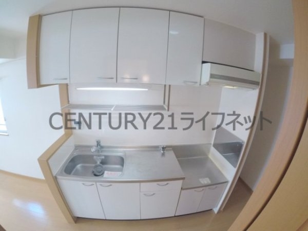 ラフレシール同心