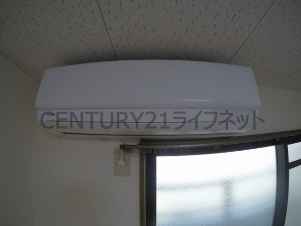 MTハイム