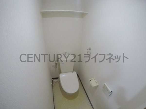 MTハイム