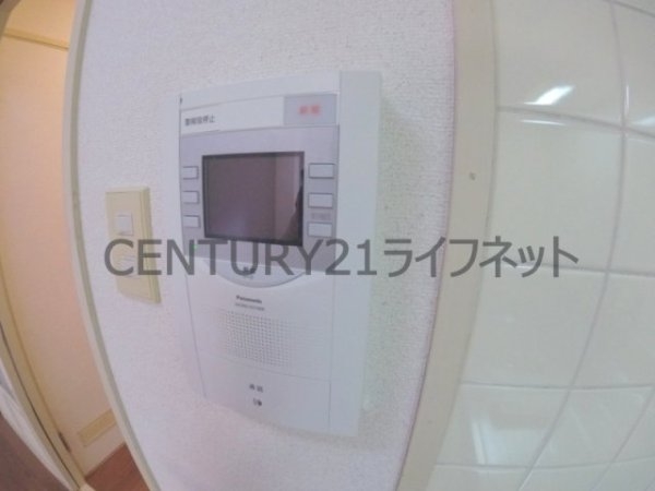コレクション中崎1