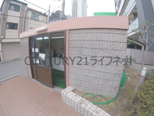 コレクション中崎1
