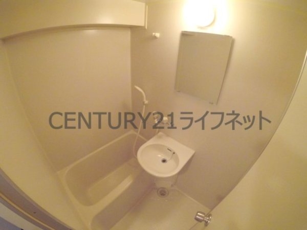コレクション中崎1